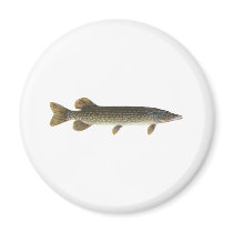 Northern Pike Magnets