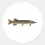 Northern Pike Round Stickers