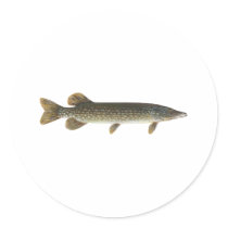Northern Pike stickers