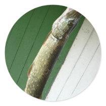 Northern Pike stickers