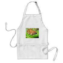 Northern Red legged frog Aprons