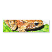 Northern Red legged frog Bumper Sticker