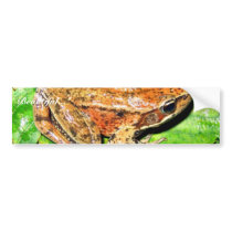 Northern Red legged frog Bumper Sticker