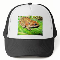 Northern Red legged frog Trucker Hat