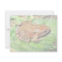 Northern Red legged frog Personalized Invites