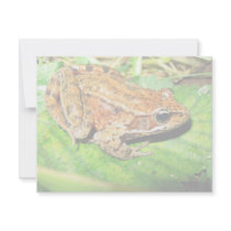 Northern Red legged frog invitations by animalpark Northern Red legged frog invitations
