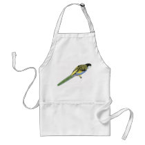 Northern Rosella - Platycerus eximius adscitus aprons