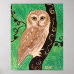 Northern Saw Whet Owl by artist Carol Zeock Print