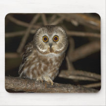 Northern Saw-whet Owl Mouse Pads