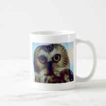 Northern Saw Whet Owl Mugs