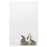 Northern Shoveler, John Audubon Stationery Design
