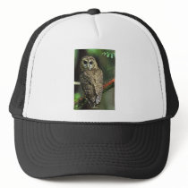 Northern Spotted Owl Mesh Hat