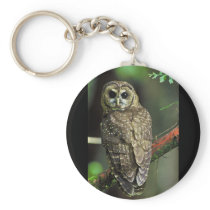 Northern Spotted Owl Key Chain