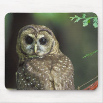 Northern Spotted Owl Mousepads