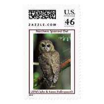 Northern Spotted Owl Postage