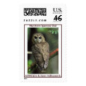 Northern Spotted Owl postage