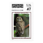 Northern Spotted Owl Postage Stamp