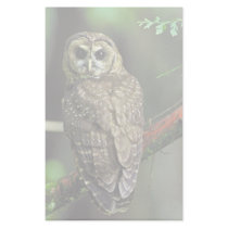 Northern Spotted Owl stationery by animalpark Northern Spotted Owl stationery