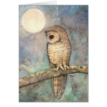 Northern Spotted Owl Wildlife Fine Art cards