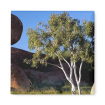 Northern Territory, Australia Fridge Magnets
