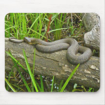 Northern Water Snake Basking on Log Multiple Items Mouse Pads