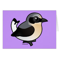 Northern Wheatear (adult) Greeting Card