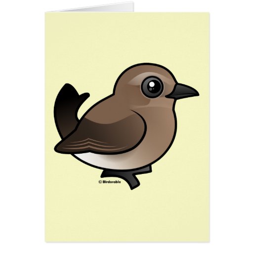 Northern Wheatear (juvenile) Cards