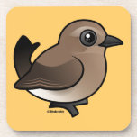 Northern Wheatear (juv) Beverage Coaster