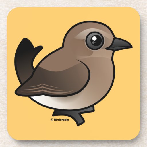 Northern Wheatear (juvenile) Coasters