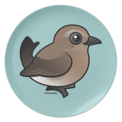 Northern Wheatear (juv) Plate