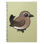 Northern Wheatear (juv) Notebook
