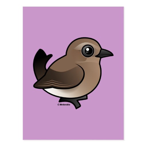 Northern Wheatear (juvenile) Postcard