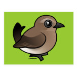 Northern Wheatear (juv) Postcard