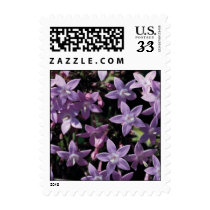 NorthernLights postage