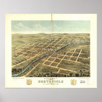 Northfield Minnesota 1869 Antique Panoramic Map posters