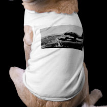 Northrop N3-PB Patrol Bomber - Vintage pet clothing