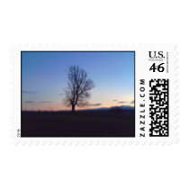 Northumberland countryside postage