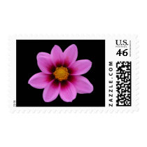 Northwest Cosmos Postage