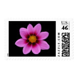 Northwest Cosmos Postage