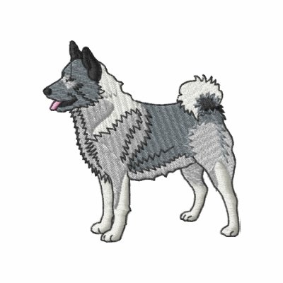 Noruego Elkhound Noruego Elkhound