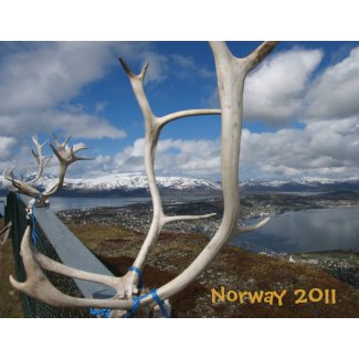 norway calendar 2011