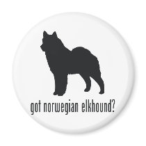 Norwegian Elkhound Refrigerator Magnet