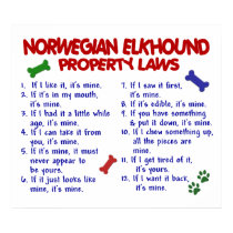 NORWEGIAN ELKHOUND PL2 posters