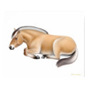 Norwegian Fjord Horse at Rest Print