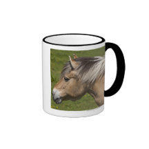 Norwegian Fjord Horse Mugs
