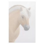 Norwegian Fjord Horse Stationery