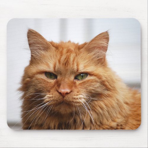 Norwegian Forest Cat Mouse Pad mousepad