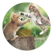 Norwegian Forest kittens stickers by Ceyzpurplestang Norwegian Forest kittens stickers