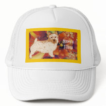 Norwich Terrier - Autumn Flower Design Hats