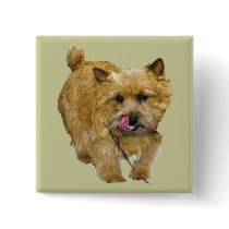 Norwich Terrier buttons